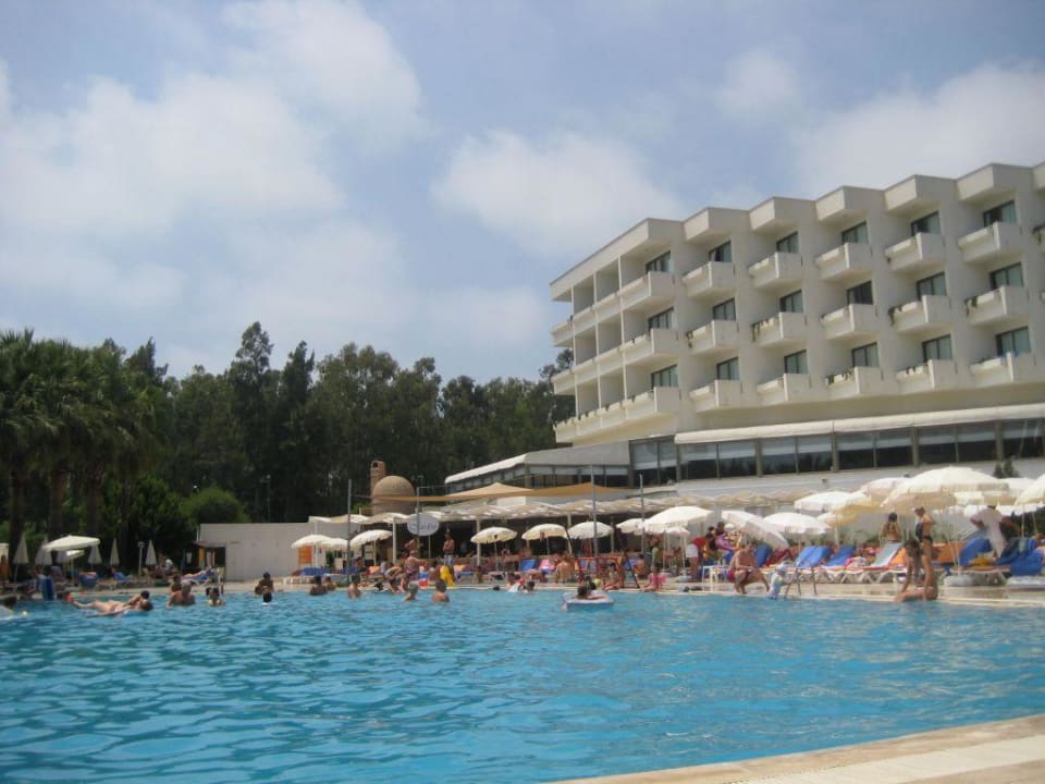 Pool Asteria Collection Side