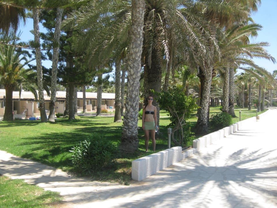 Gartenanlage - traumhaft Hotel Nissi Beach Resort