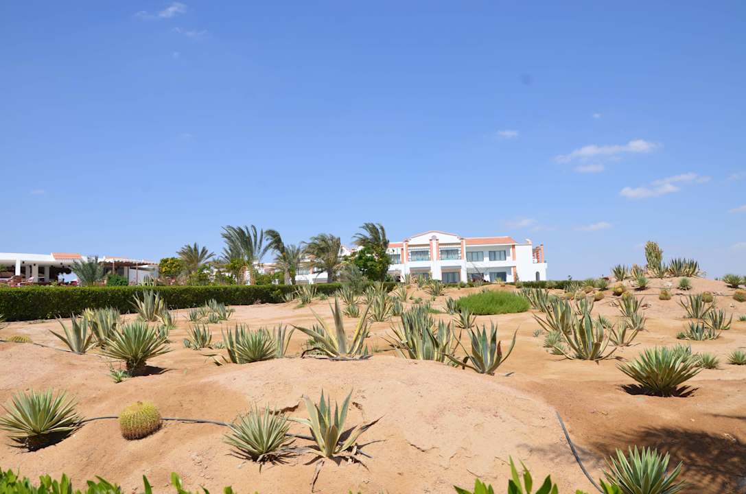 Gartenanlage Fantazia Resort Marsa Alam