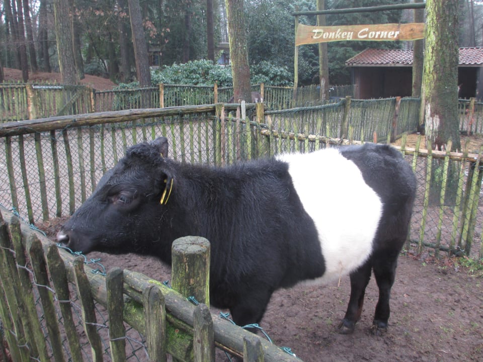 Bauernhof Center Parcs De Kempervennen