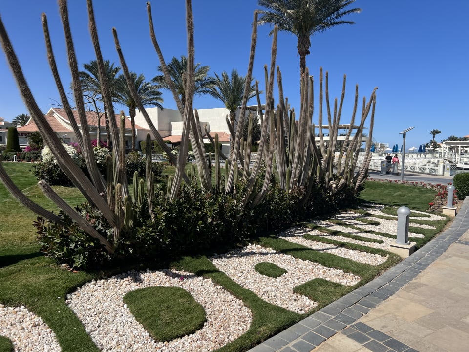 Gartenanlage Pickalbatros Dana Beach Resort - Hurghada