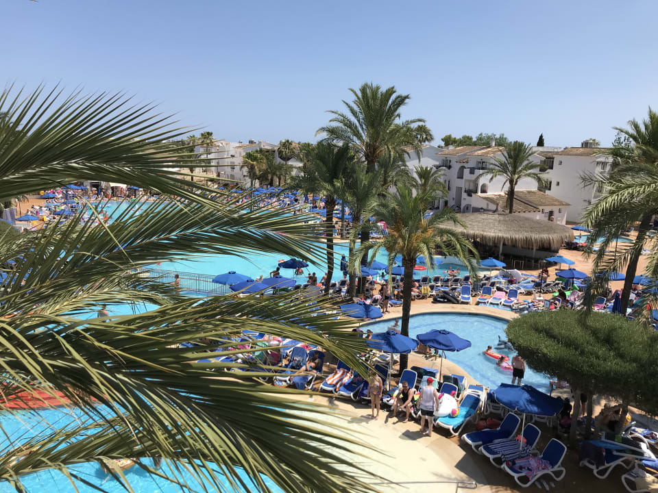 Ausblick Globales Bouganvilla
