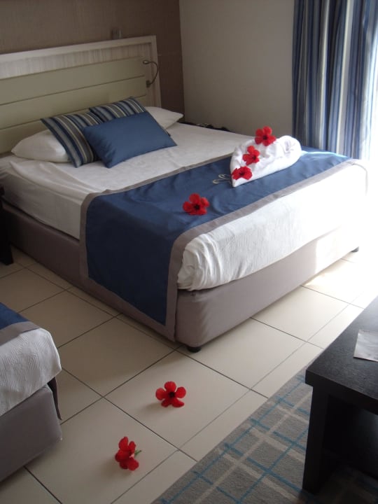 Immer schön Dekoriert Papillon Belvil