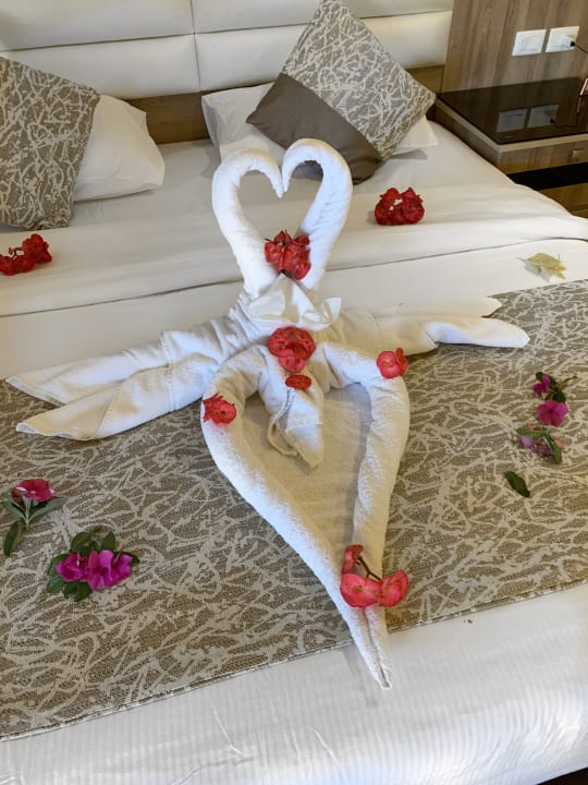 Zimmer Pickalbatros Citadel Resort