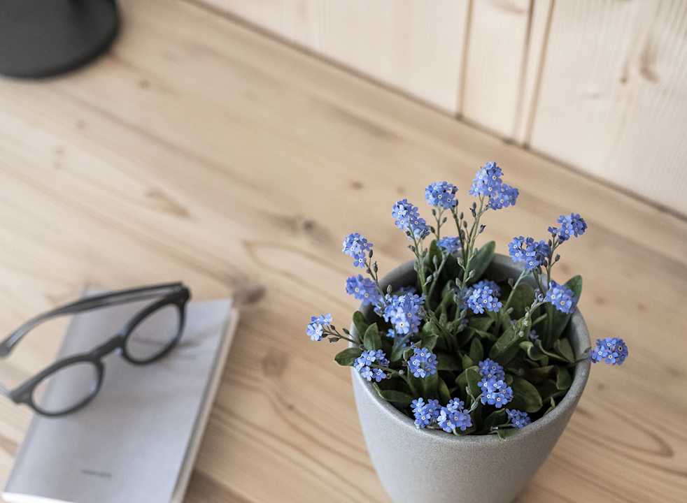 Zimmer Hotel & Gasthof zum Hirschen