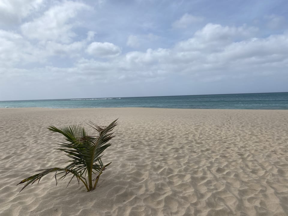 Strand Hotel Riu Palace Boavista
