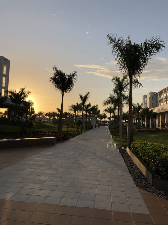 Gartenanlage Hotel Riu Dunamar