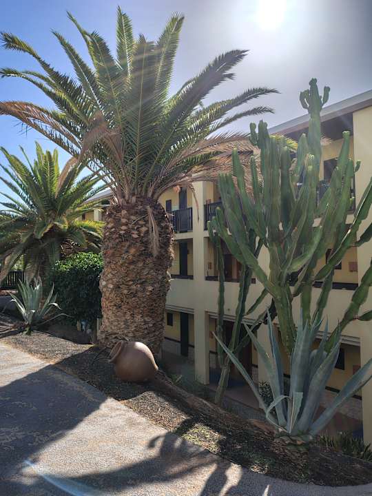 Gartenanlage Occidental Jandía Playa