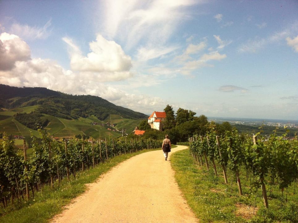 Hotel Rebstock Durbach Hotel Restaurant Rebstock Durbach