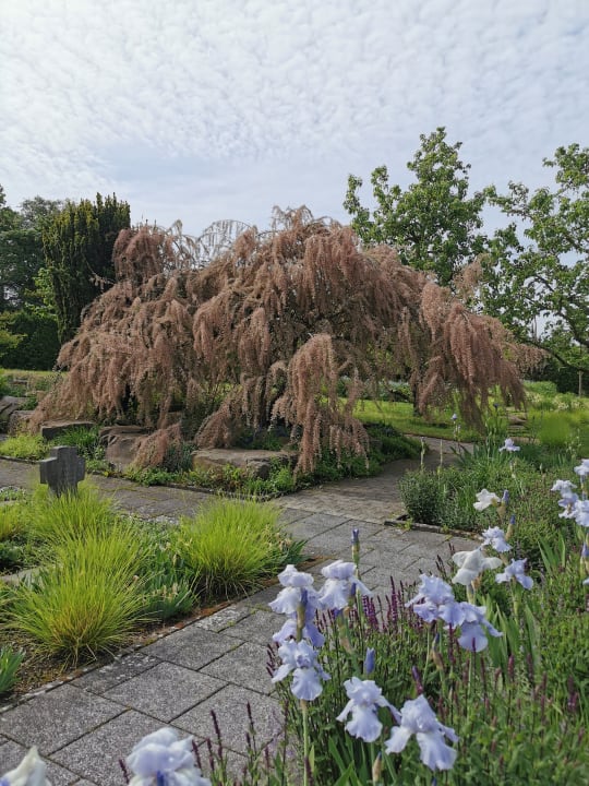 Gartenanlage Gästehaus Kloster Arenberg