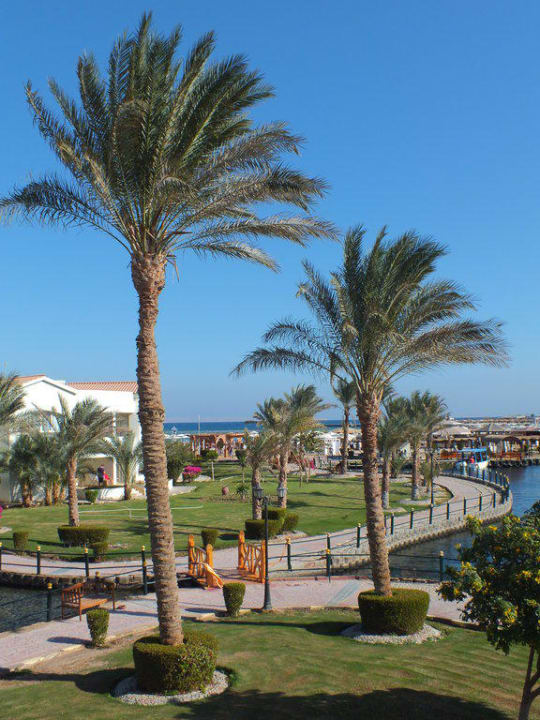 Gartenanlage Pickalbatros Dana Beach Resort - Hurghada