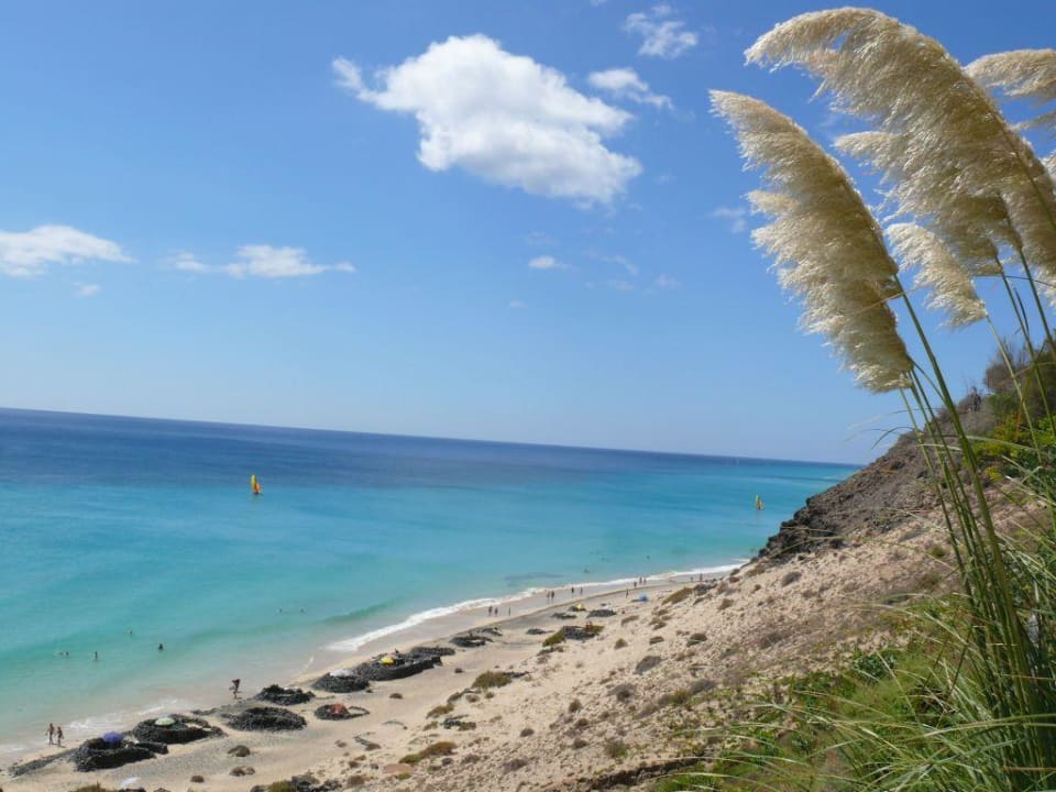 Blick vom Pool auf den Strand Marina Playa Suite Hotel