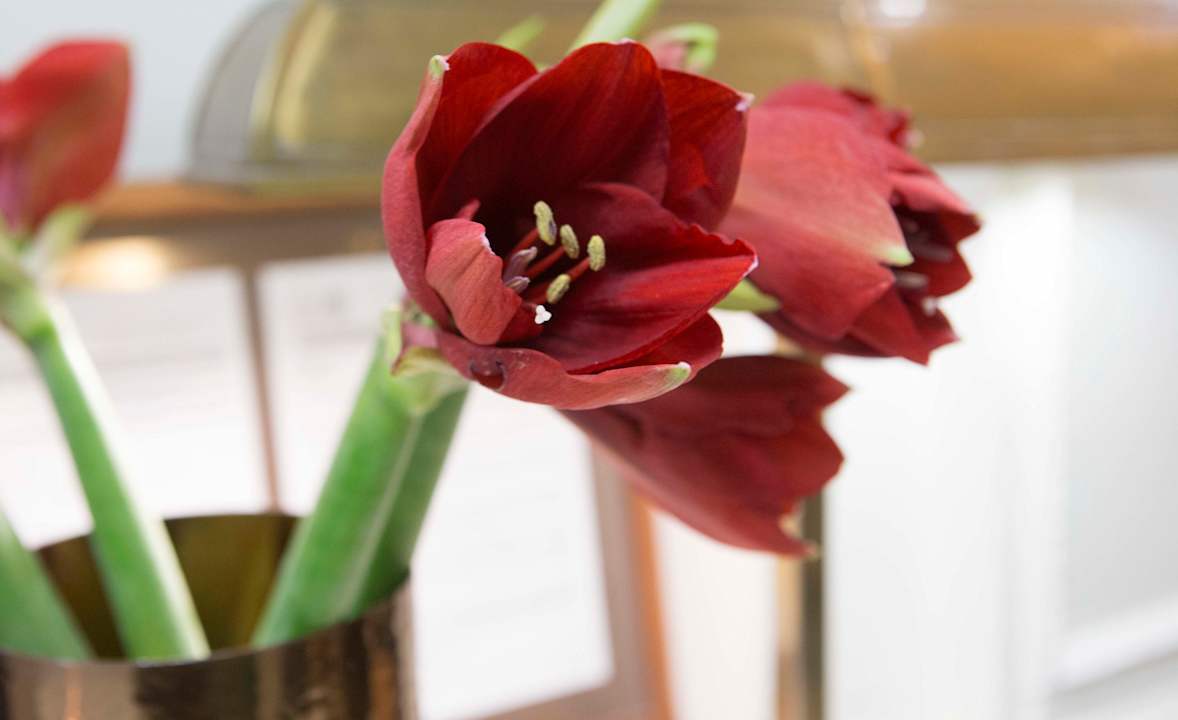 Zimmer 11th Principe by Splendom Suites