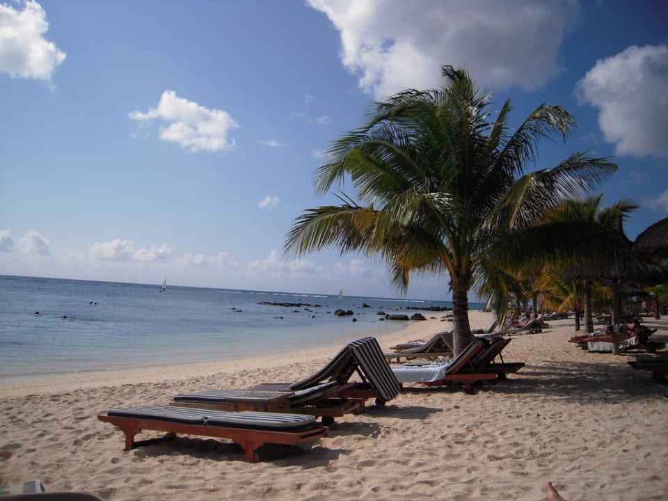 Strand mit Palmen Victoria Beachcomber Resort & Spa