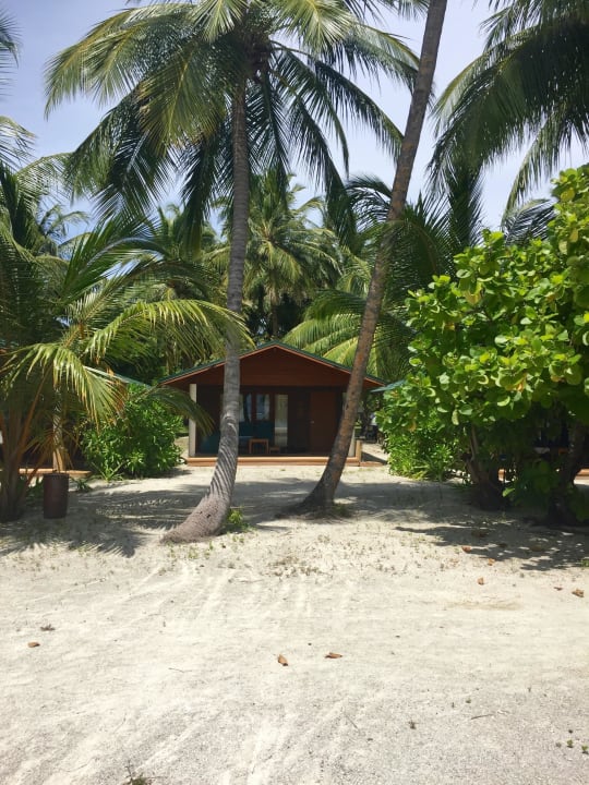 Beachvilla Meeru Maldives Resort Island