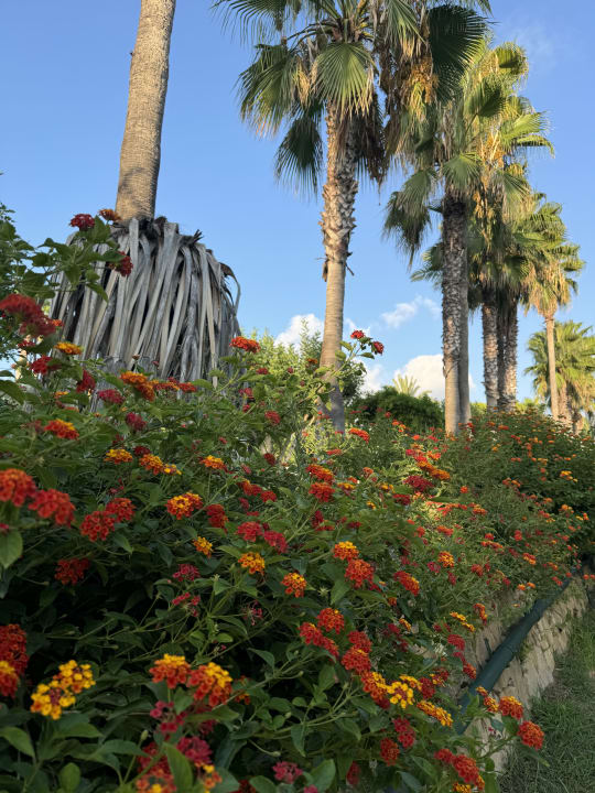 Gartenanlage Hotel Defne Garden