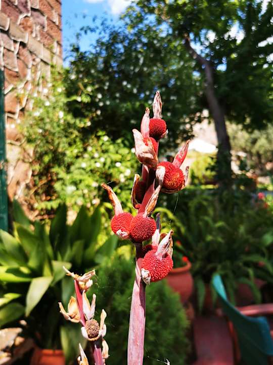 Außenansicht Villa Thelpi