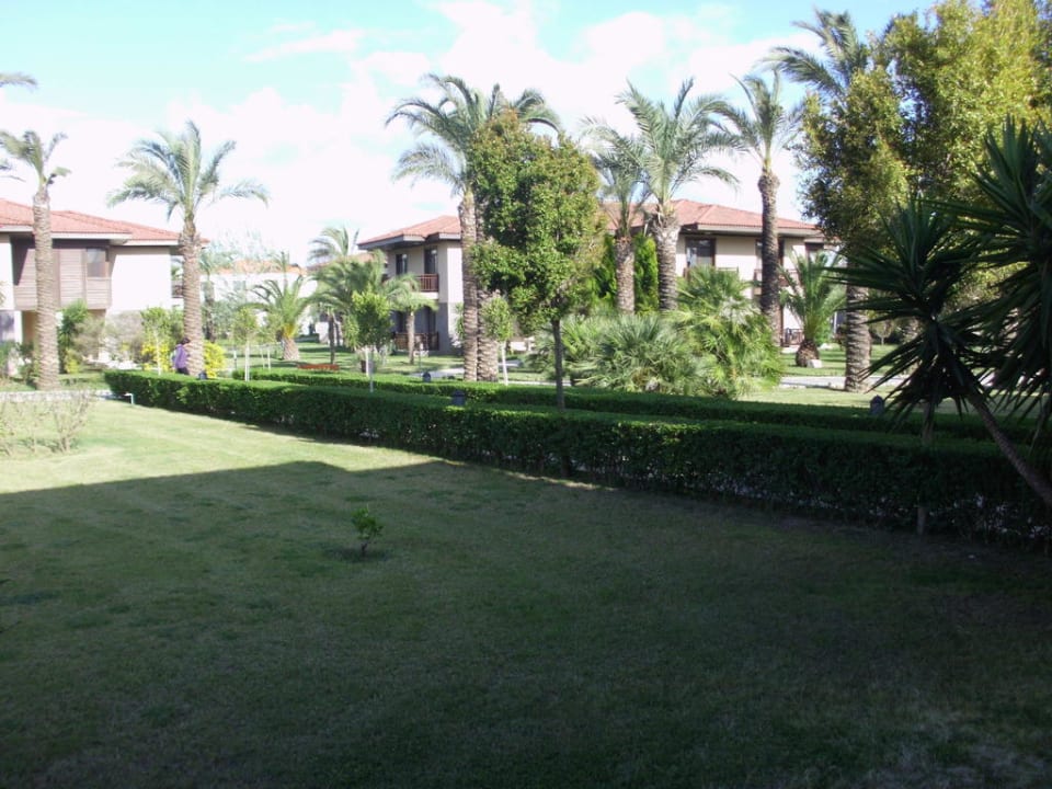 Ausblick vom Zimmer TUI BLUE Palm Garden