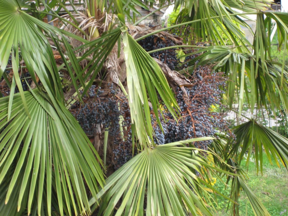 Gartenanlage Thalguter Apartments, Rooms & Breakfast