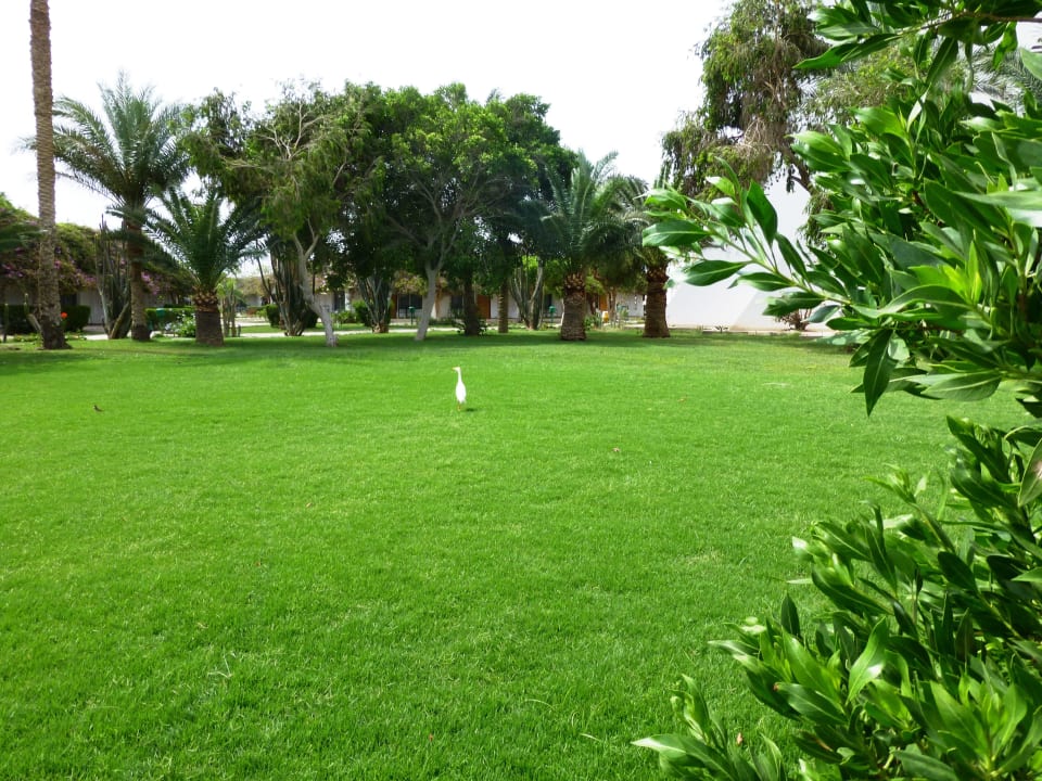 Sehr schön und gepflegt Shams Safaga Resort