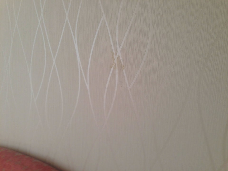 Zimmer Amy's Wohlfühlvilla