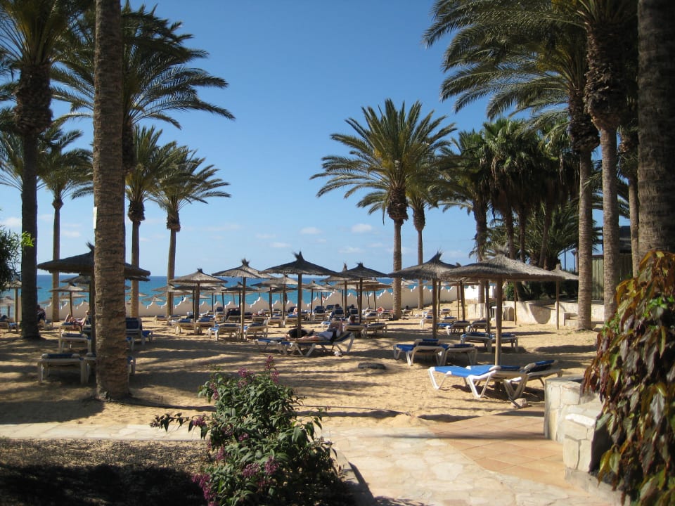 Durch kleine Mauer abgetrennter Bereich (ohne Meer SBH Costa Calma Beach Resort