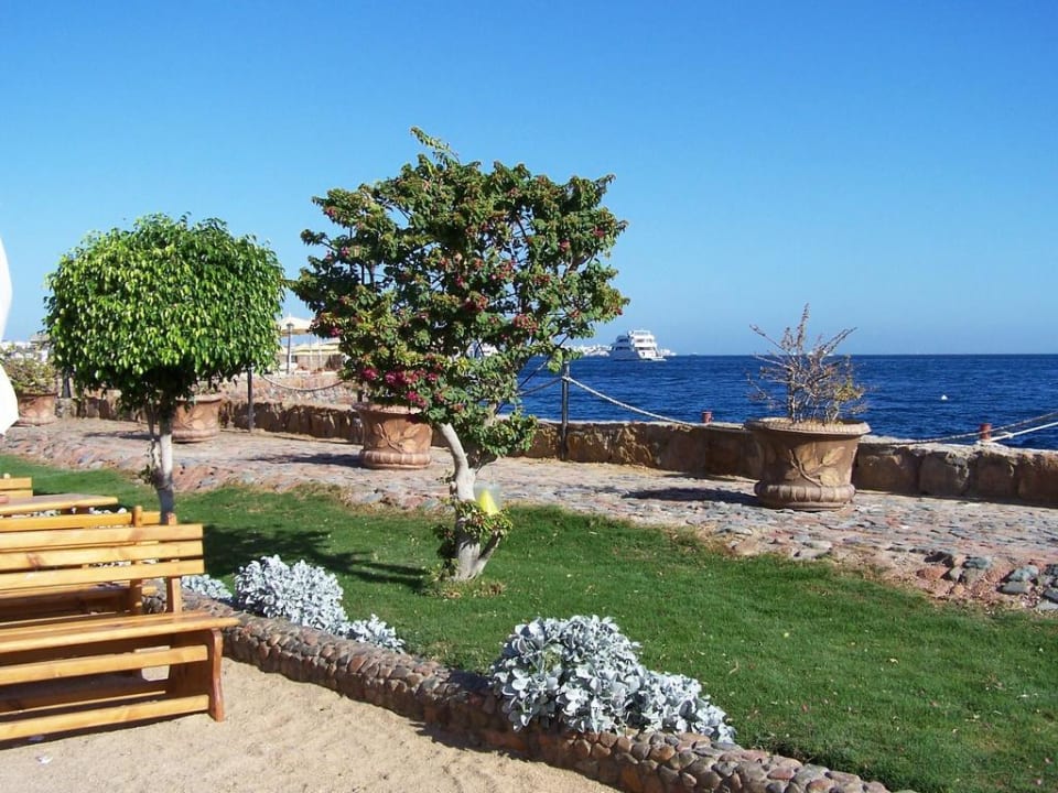Restaurace SUNRISE Holidays Resort (Adults Only)