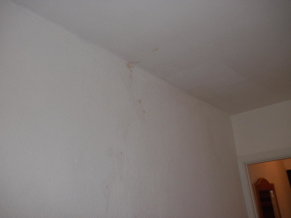 Flecke an der Wand Servatur Playa Bonita