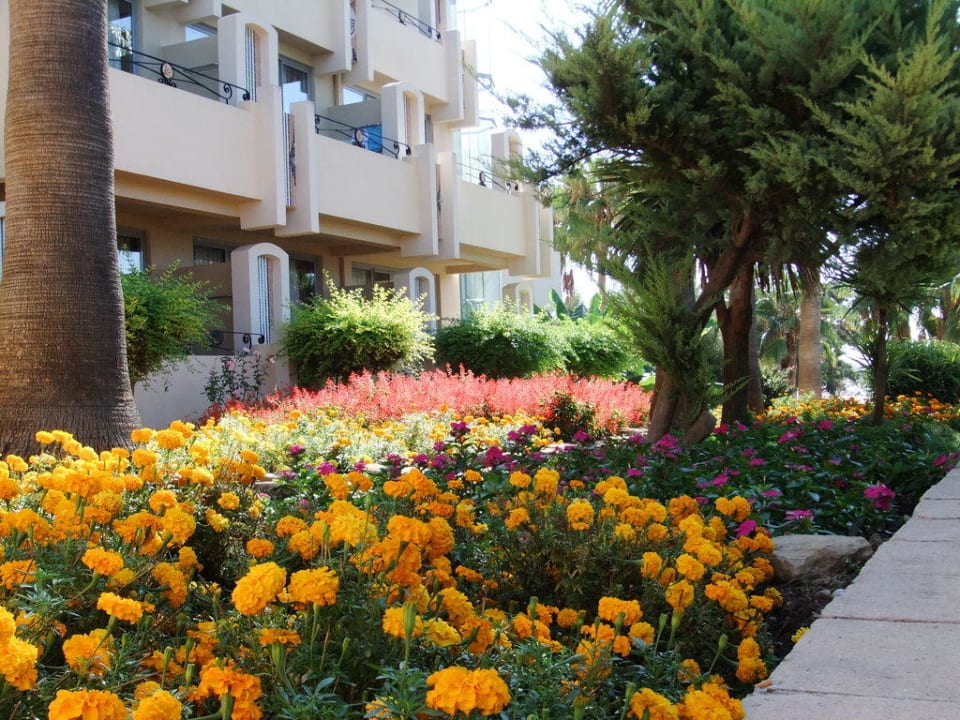 Blumenbeet vor dem Neubau Melas Holiday Village