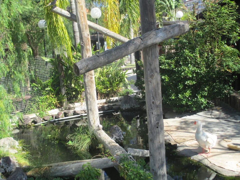 Die Gans  Park Club Europe