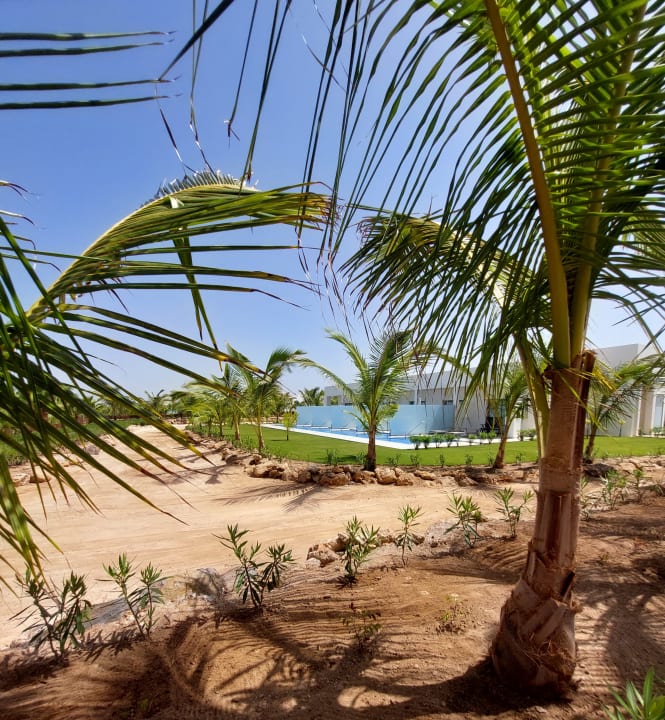 Gartenanlage Hotel Riu Palace Boavista