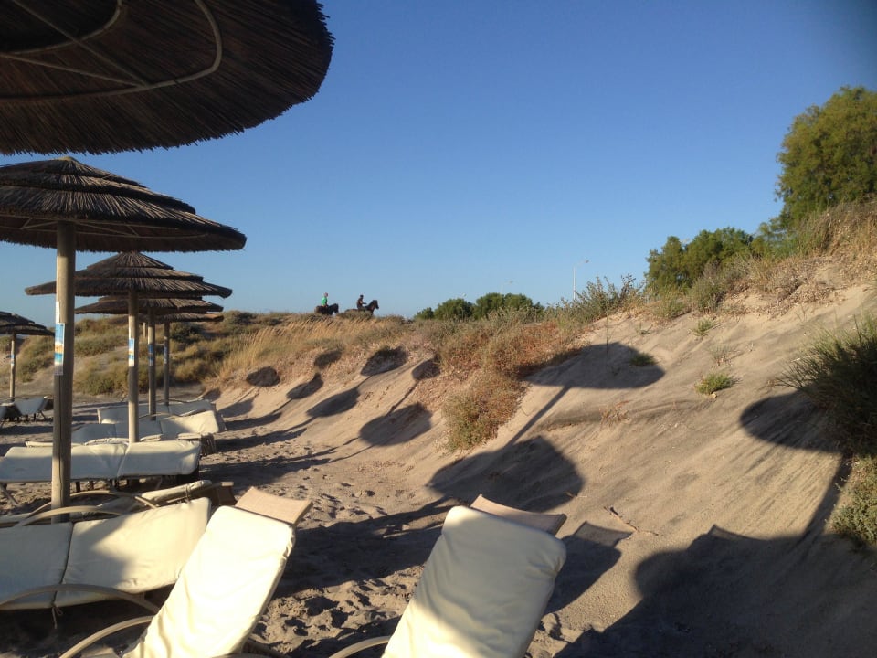 Dünen hinter dem Liegenbereich TUI BLUE Palazzo del Mare