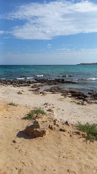 Sonstiges Hipotels Hipocampo Playa