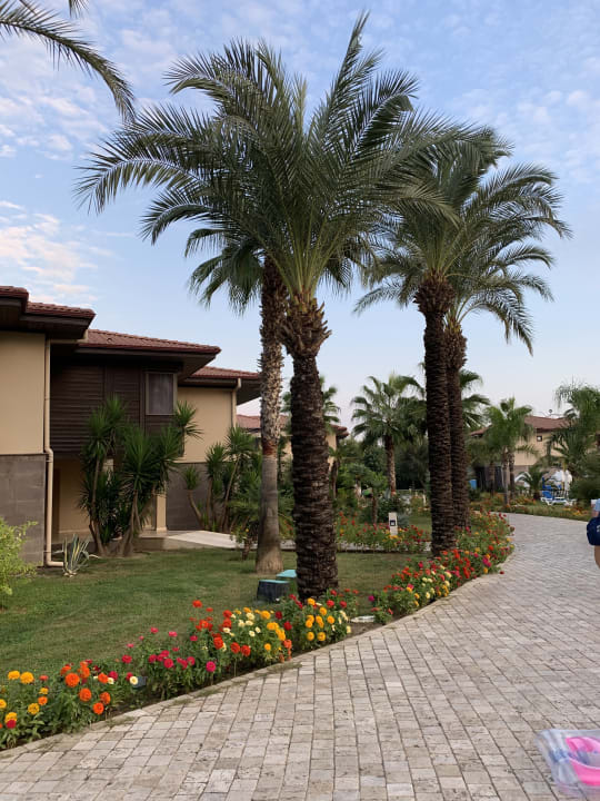Garten TUI BLUE Palm Garden