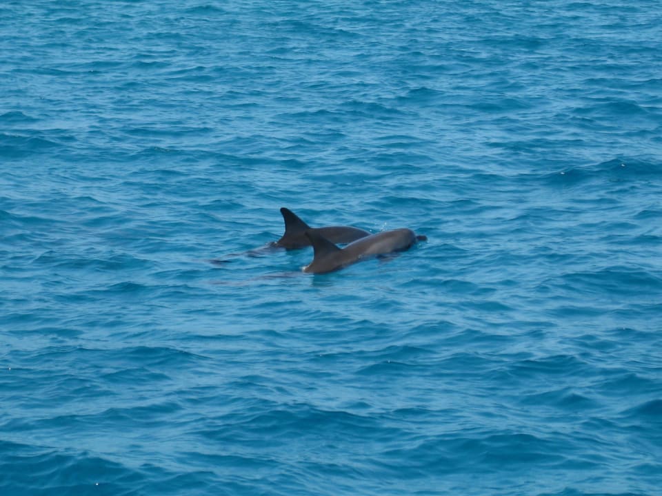 Das war nicht alles Stella Beach Resort & Spa Makadi Bay