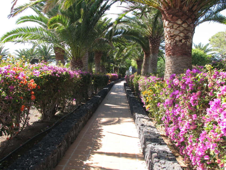 Weg von den Apartments zum Hotel Relaxia Olivina