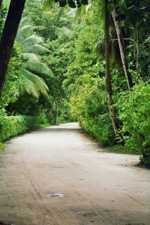 Die Hauptverbindungsstraße Kuramathi Maldives