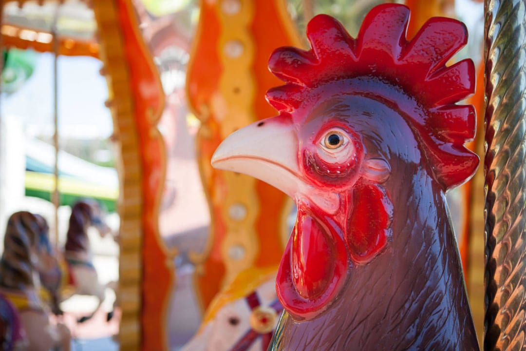 Draaimolen Hotel Delphin Imperial