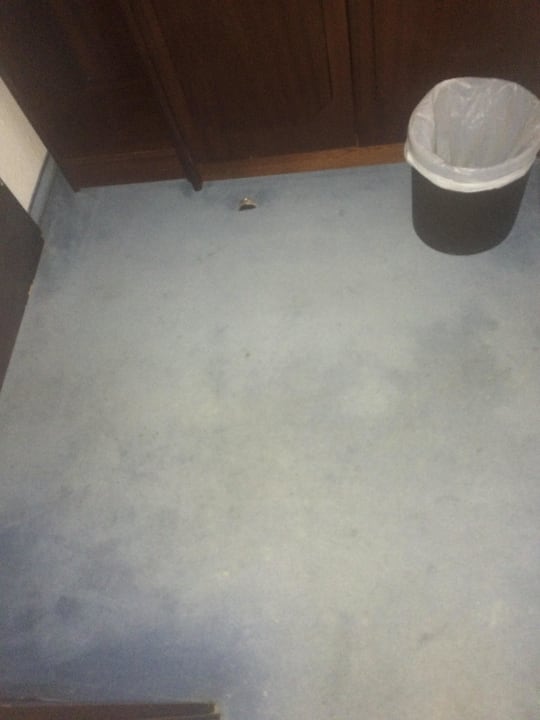 Dreckiger Teppichboden im Zimmer Hotel Astoria am Urachplatz