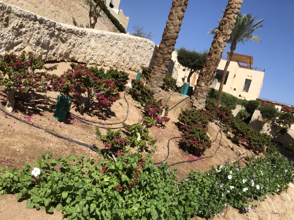 Gartenanlage The Grand Hotel Sharm El Sheikh