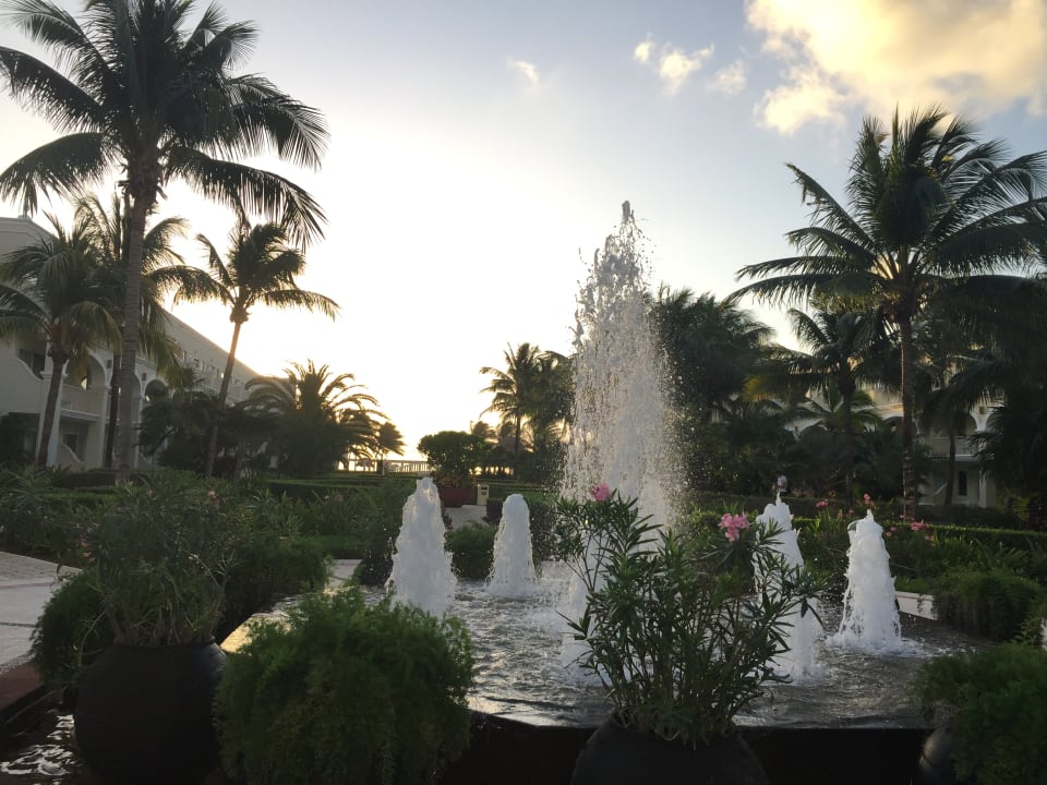 Gartenanlage Dreams Tulum Resort & Spa