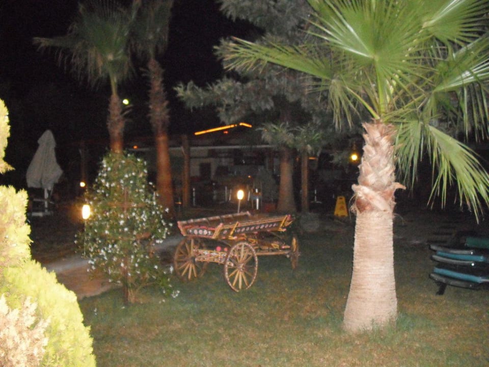 Schön gross Hane Family Resort