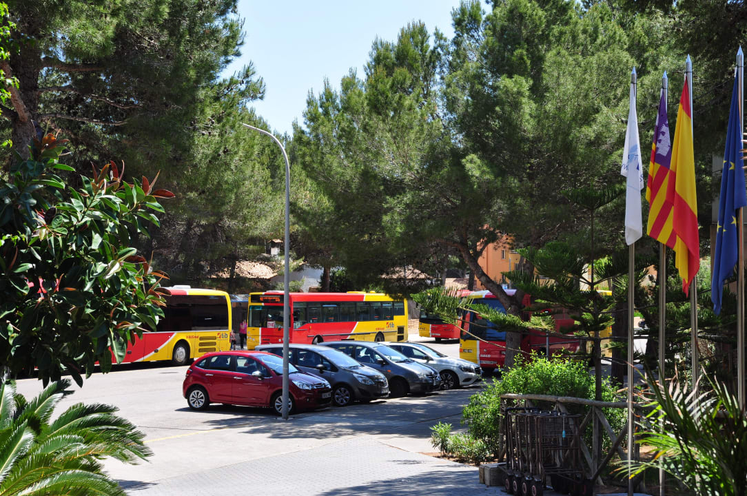 Przystanek autobusowy przed hotelem Green Garden Aparthotel