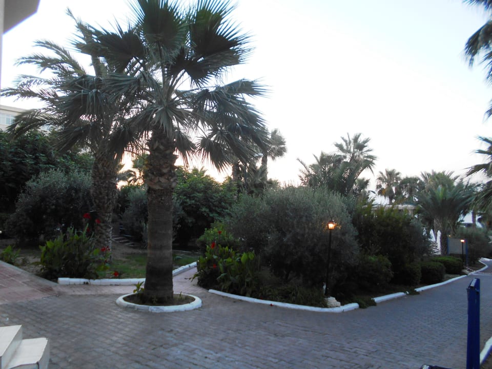 Gartenanlage Oscar Resort Hotel