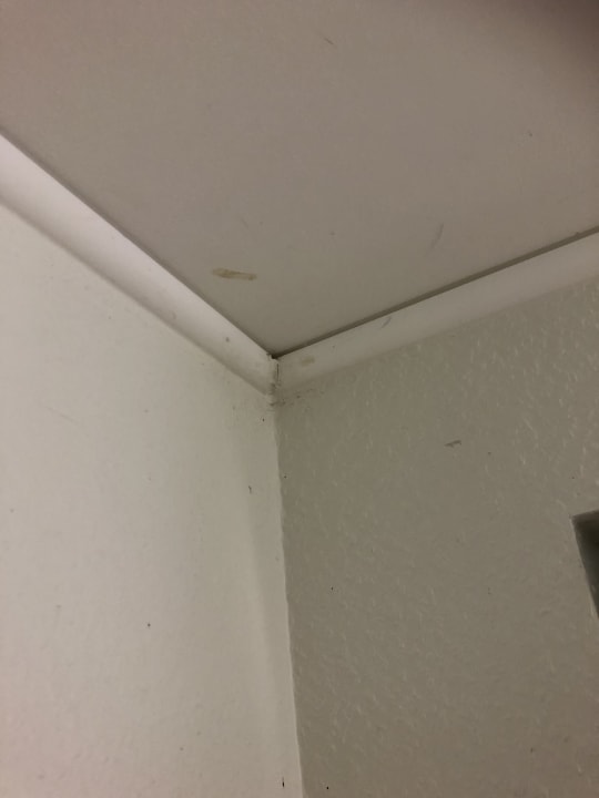 Zimmer Center Parcs Park Bostalsee