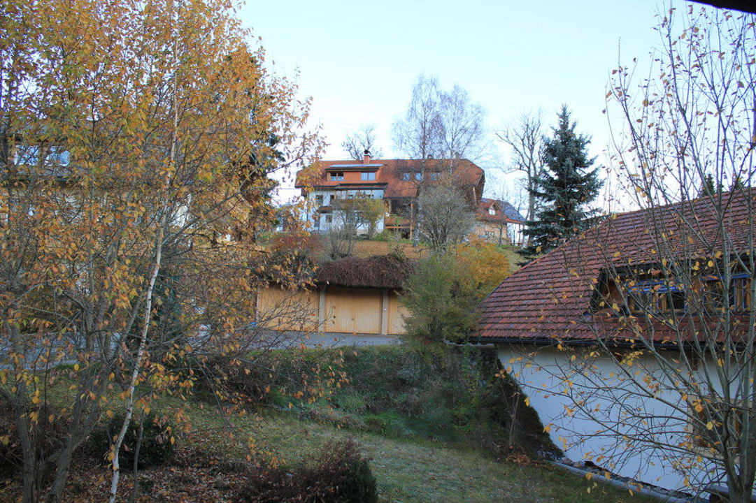 Вид во двор Hotel Schwarzwaldgasthof Rößle