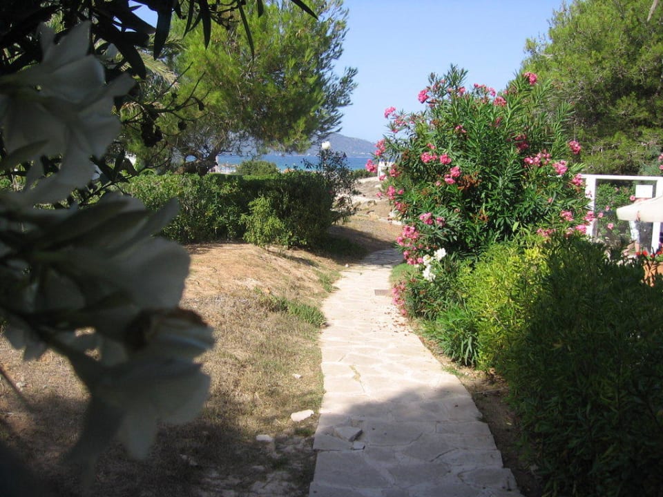 Weg zum Strand Hipotels Bahia Grande