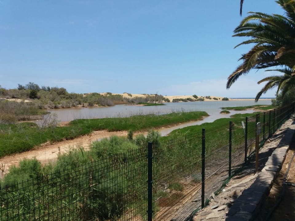 Ausblick FBC Fortuny Resort