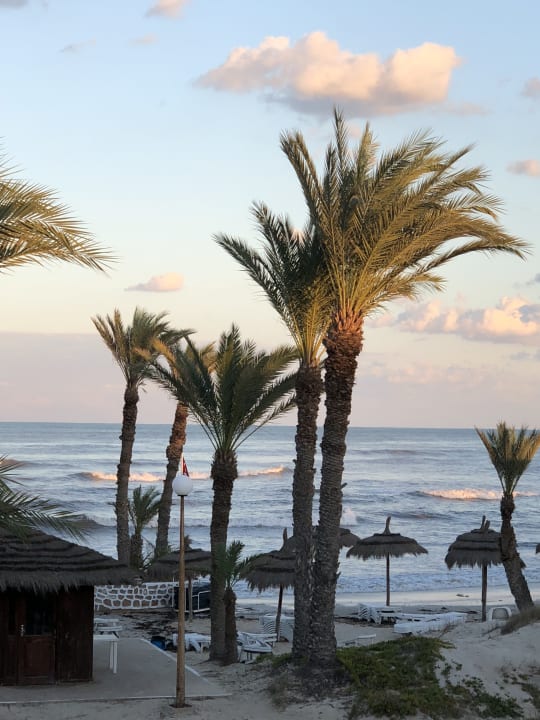 Ausblick Hotel El Mouradi Djerba Menzel