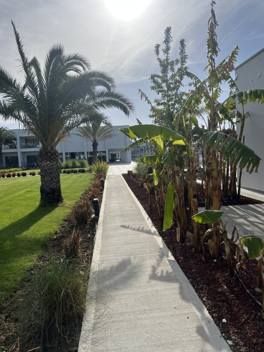 Gartenanlage Paloma Finesse